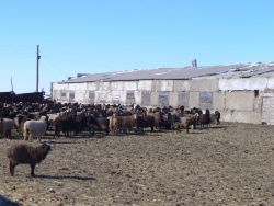 Investitionsförderung