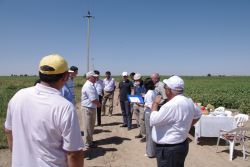 Genossenschaftswesen