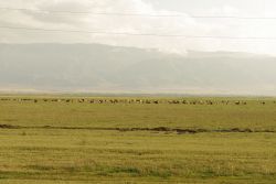 Ökologischer Landbau